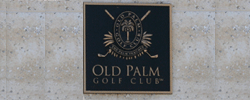 Old Palm