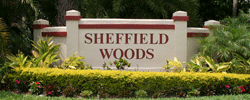 Sheffield Woods